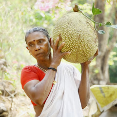 image of Village Cooking - Kerala